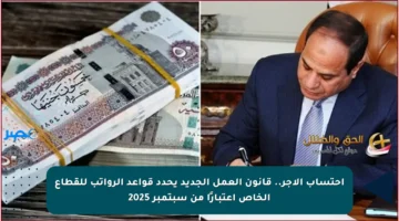 احتساب الأجر.. قانون العمل الجديد يحدد قواعد الرواتب للقطاع الخاص اعتبارًا من سبتمبر 2025